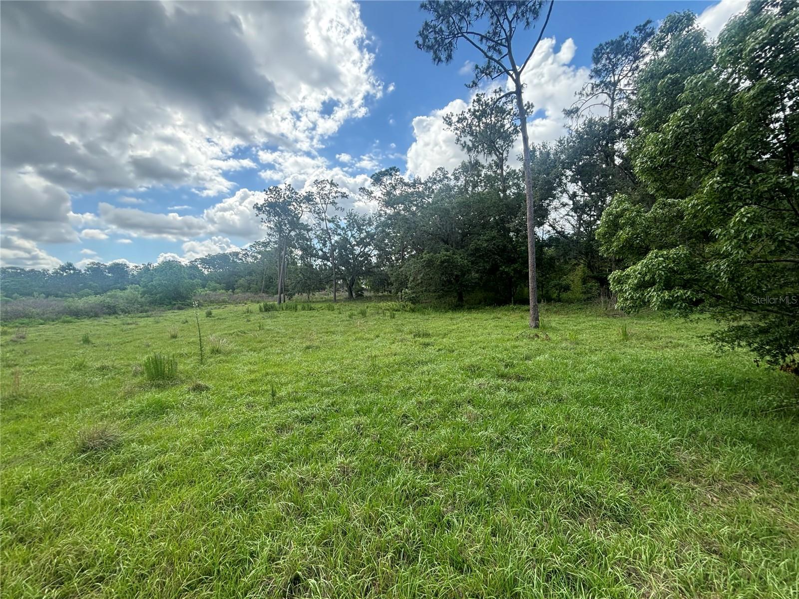 28651 Tupper Rd Property Photo 31
