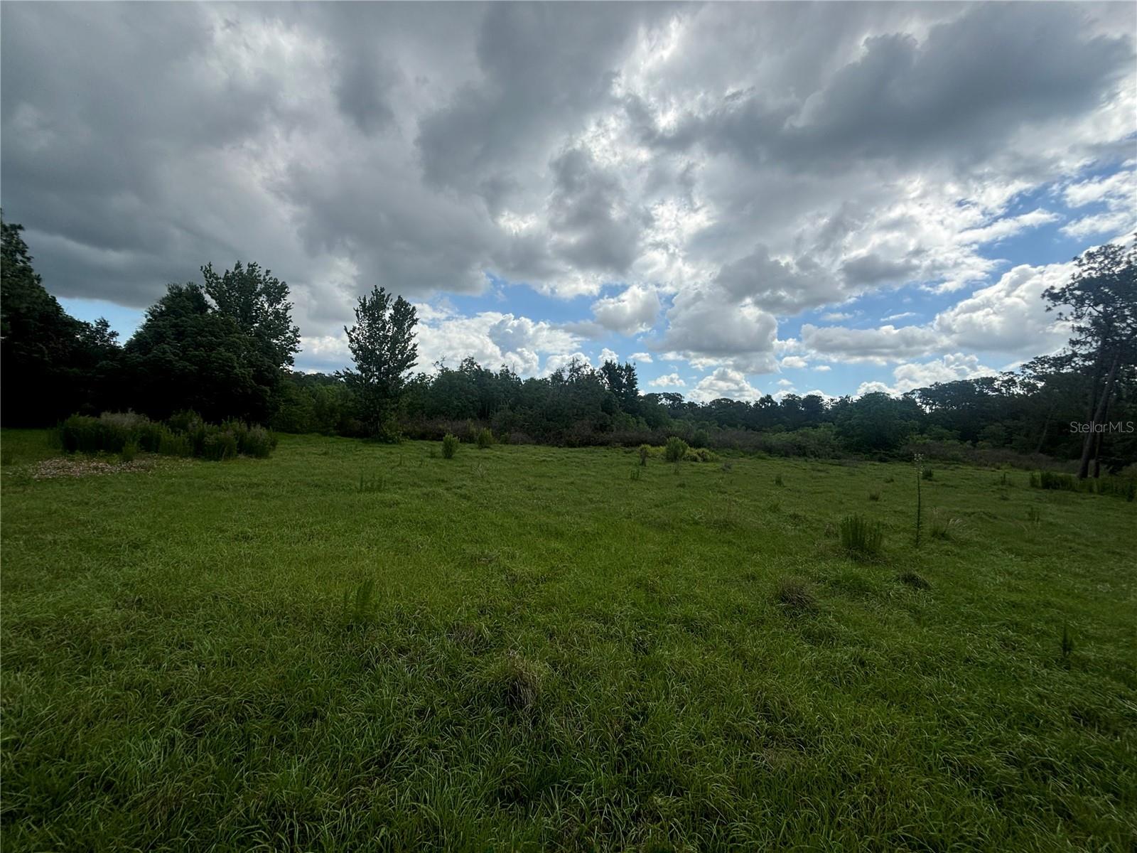 28651 Tupper Rd Property Photo 33