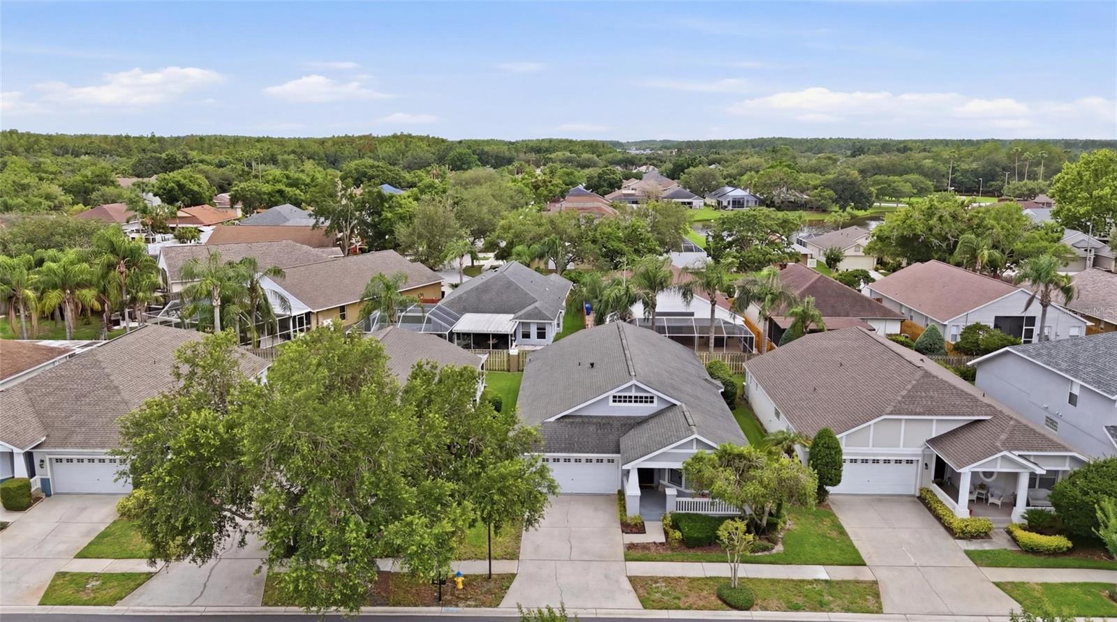4613 Corsage Dr Property Photo 44