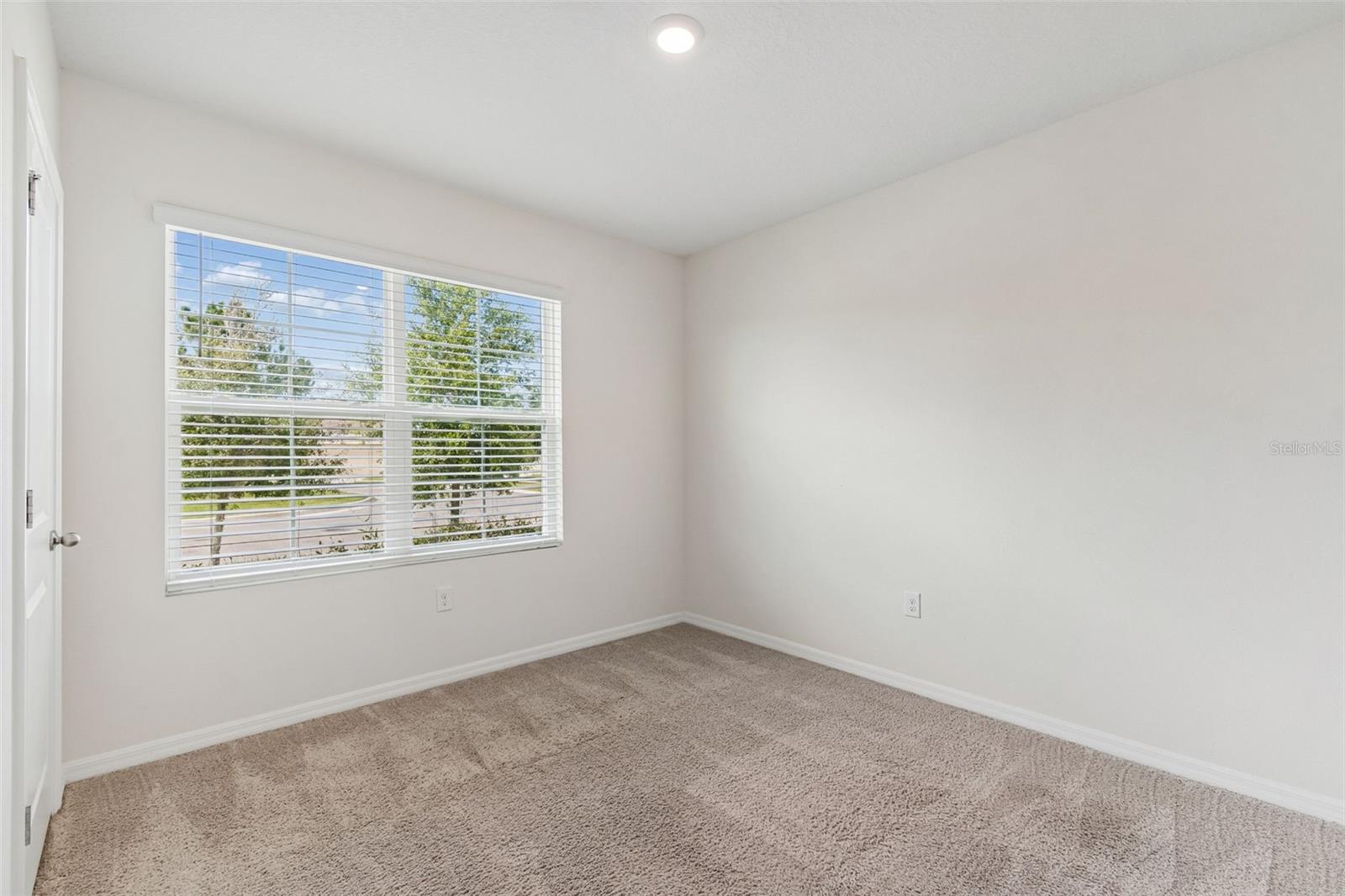 35525 Stella Vast Dr Property Photo 5