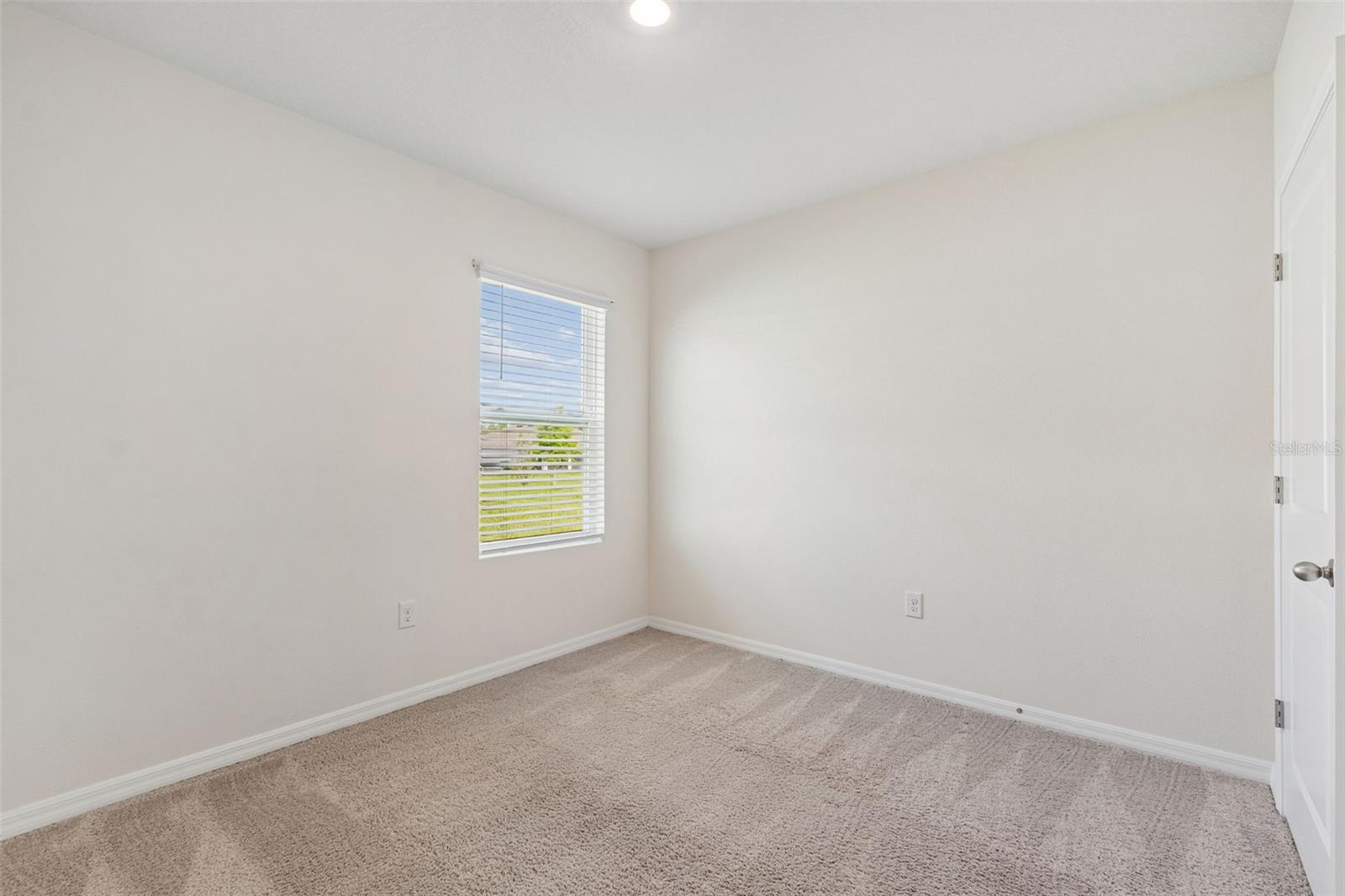 35525 Stella Vast Dr Property Photo 13