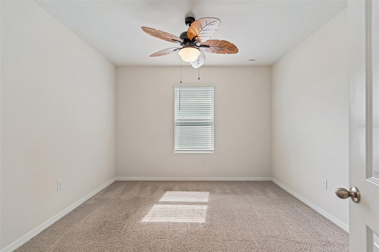 35525 Stella Vast Dr Property Photo 16