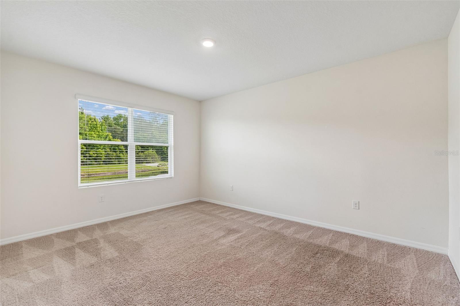 35525 Stella Vast Dr Property Photo 33