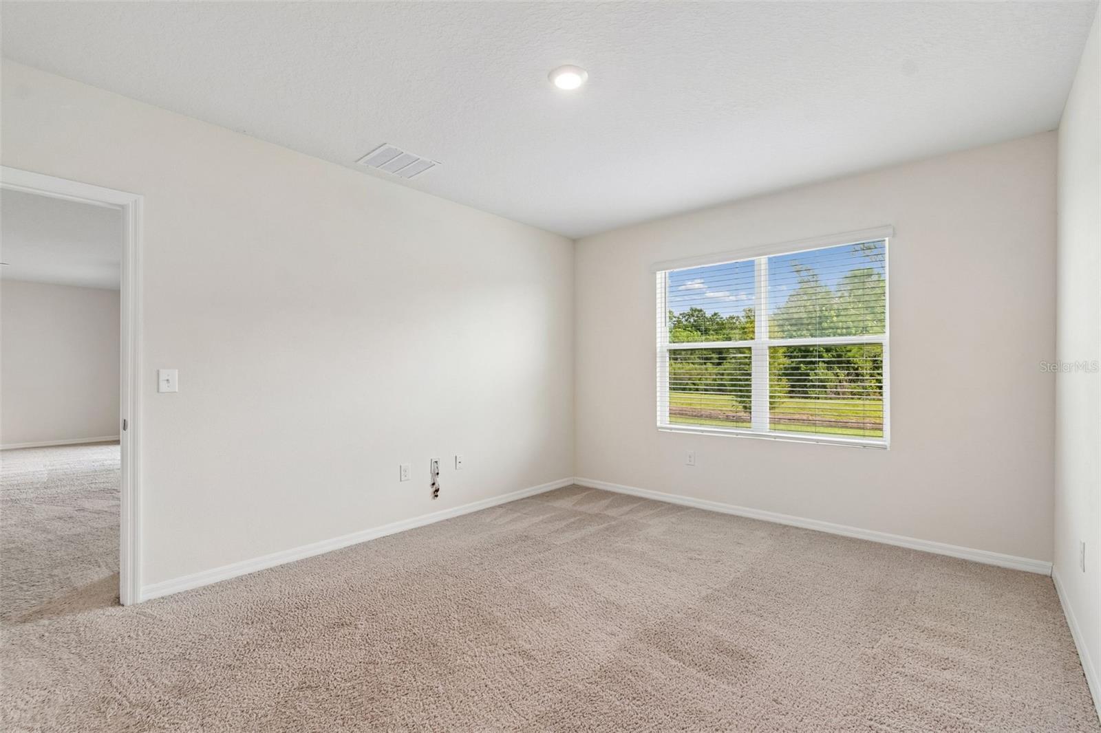 35525 Stella Vast Dr Property Photo 34