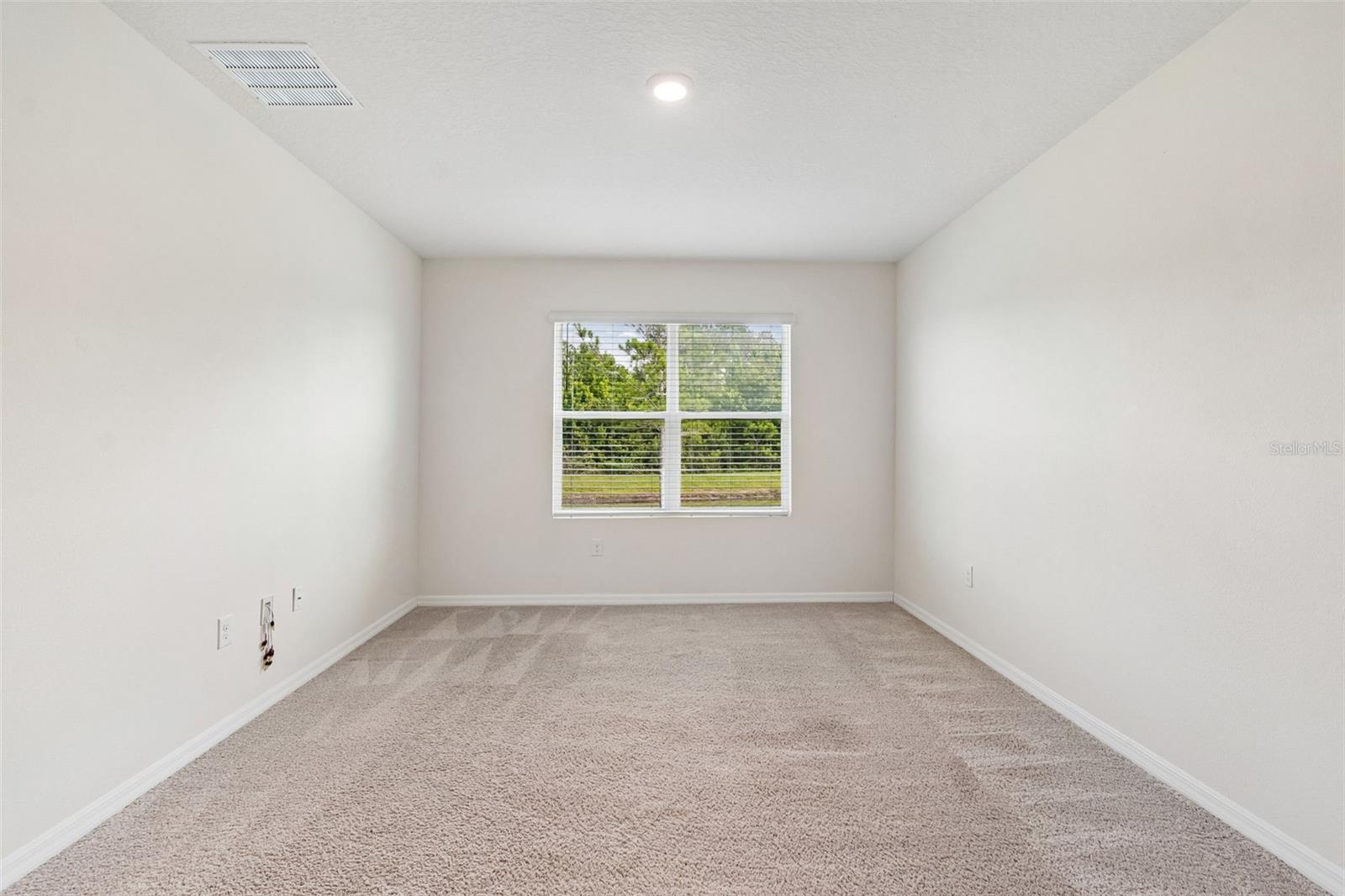 35525 Stella Vast Dr Property Photo 36