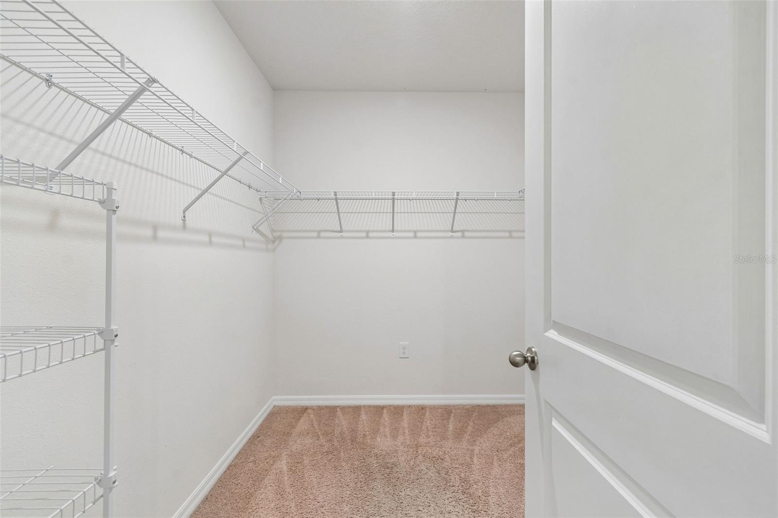 35525 Stella Vast Dr Property Photo 40