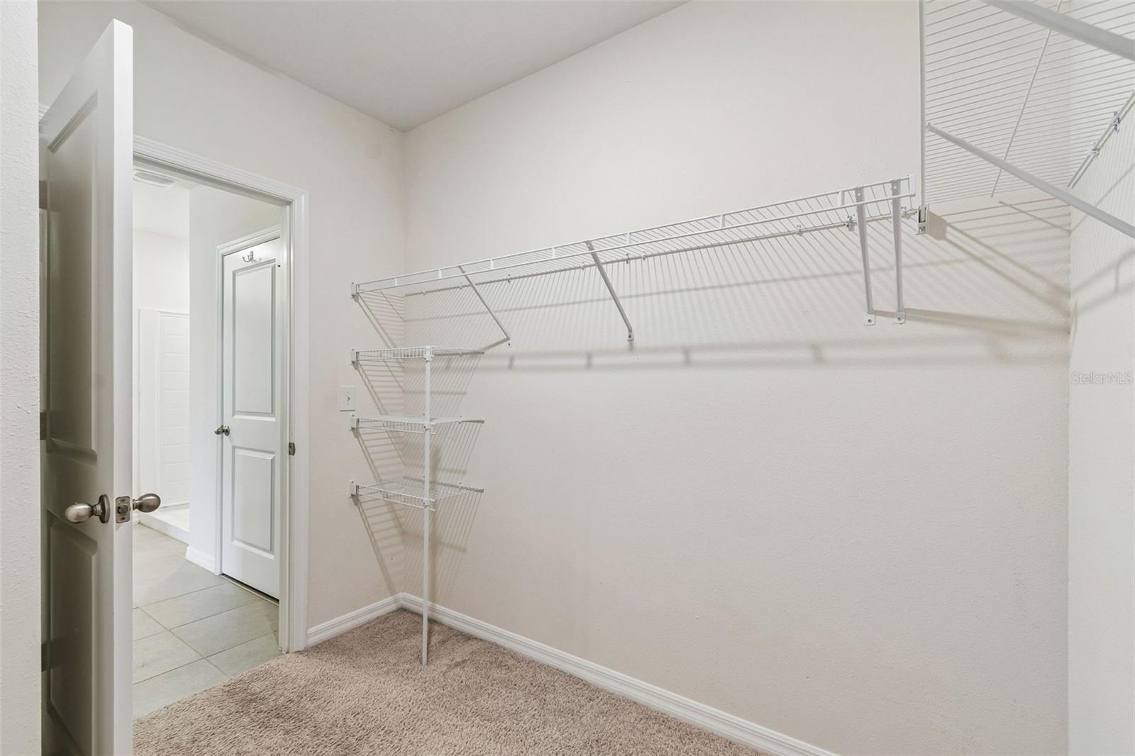 35525 Stella Vast Dr Property Photo 41