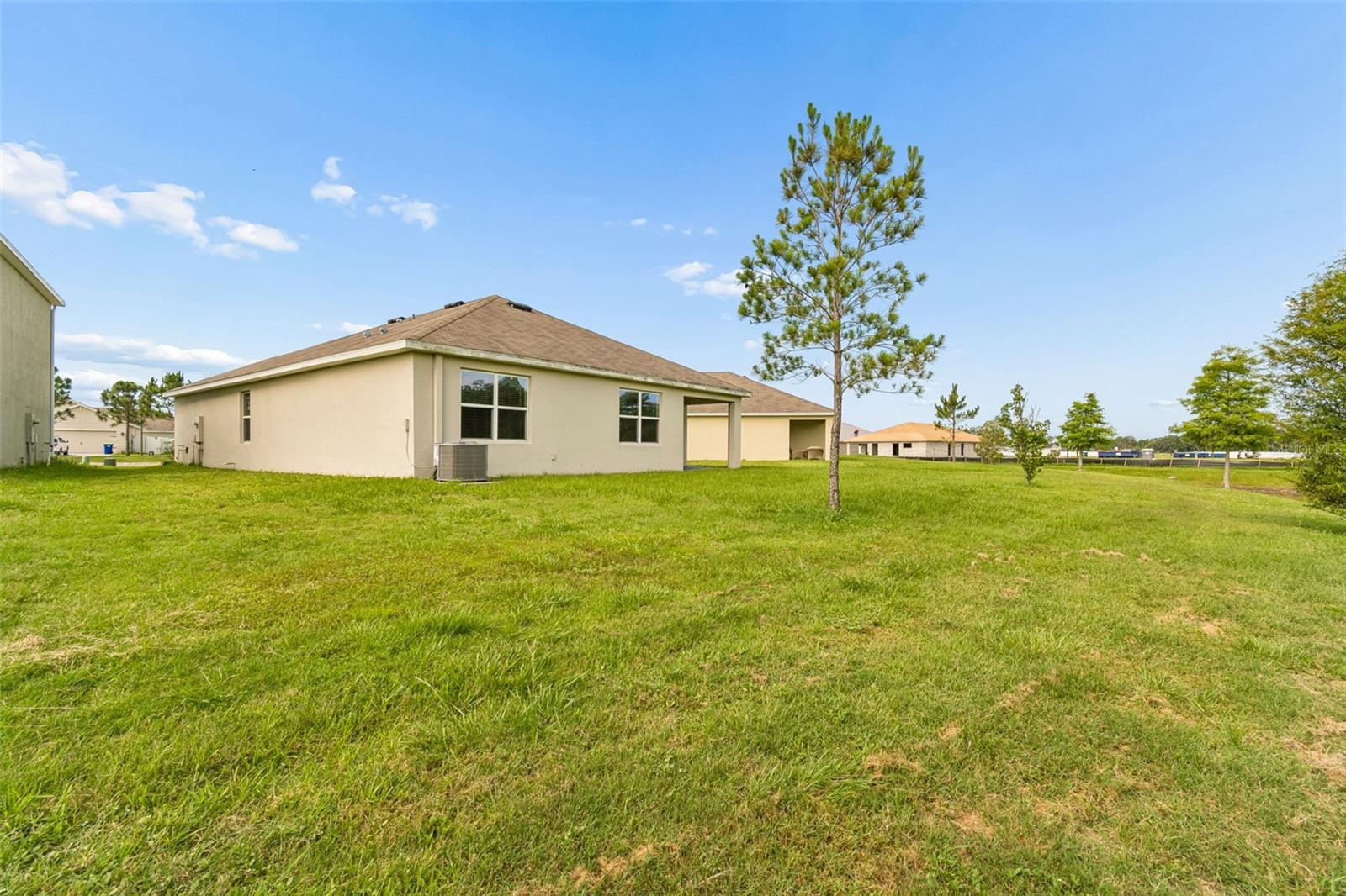 35525 Stella Vast Dr Property Photo 49