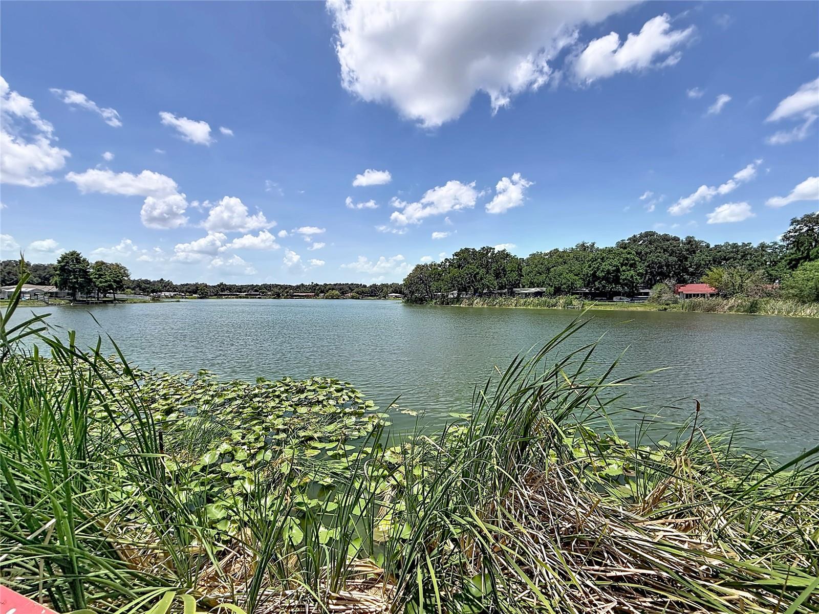 912 Shangri La Dr Property Photo 41