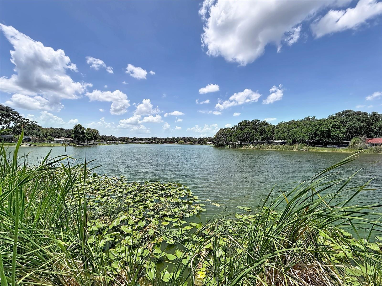 912 Shangri La Dr Property Photo 42