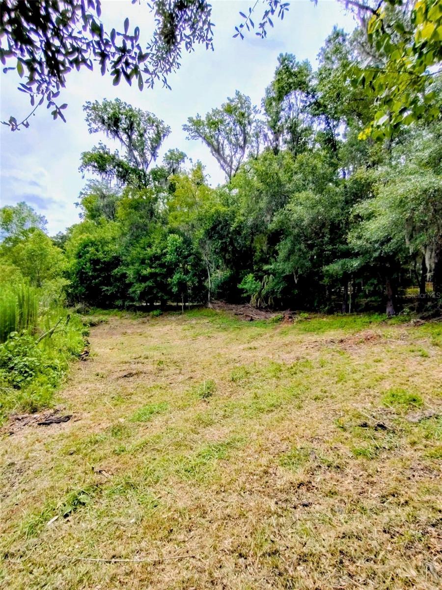 Fitzhugh Ave Property Photo 2