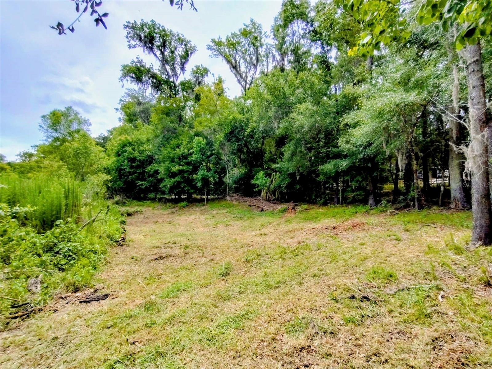Fitzhugh Ave Property Photo 7