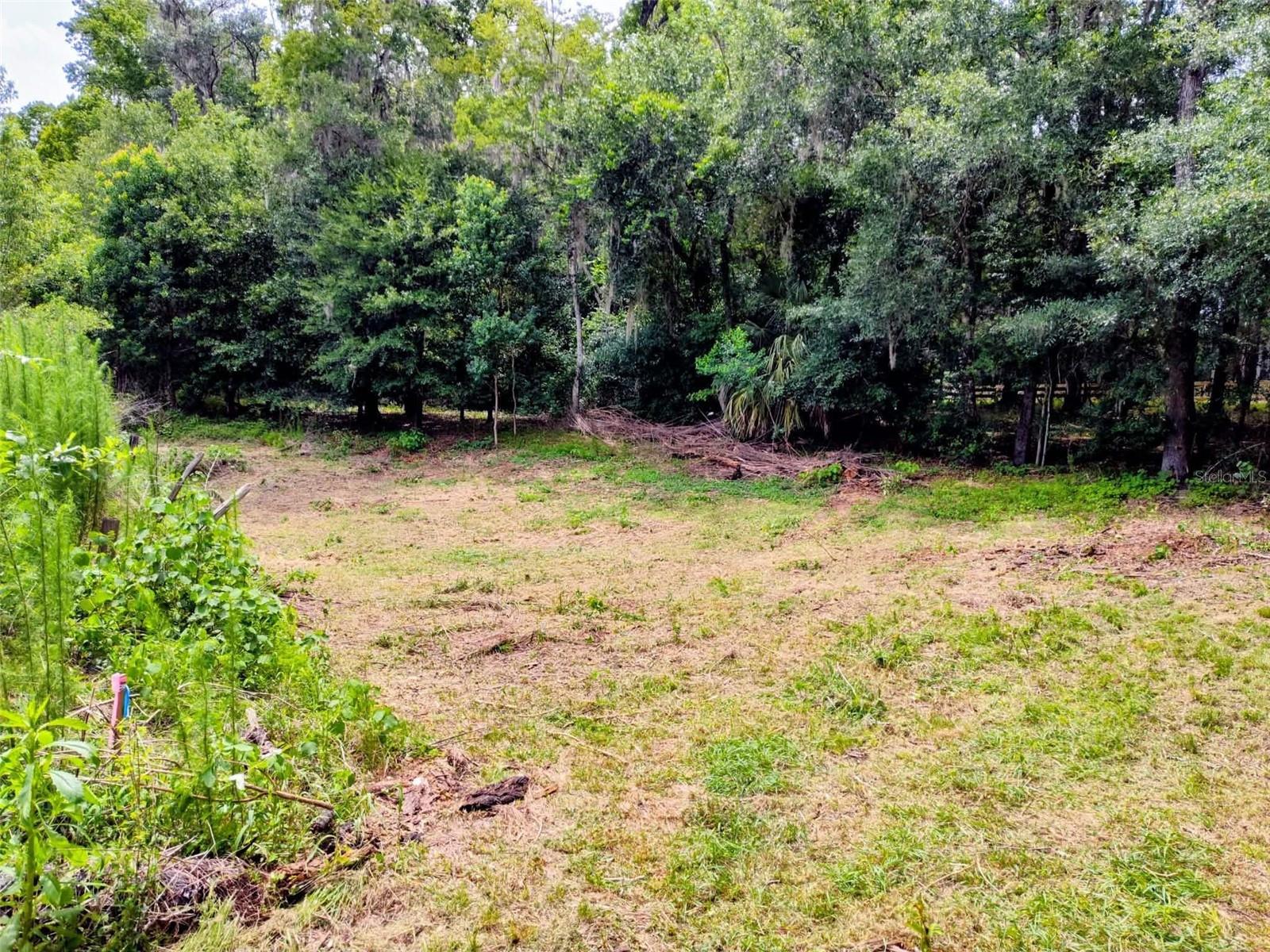 Fitzhugh Ave Property Photo 11