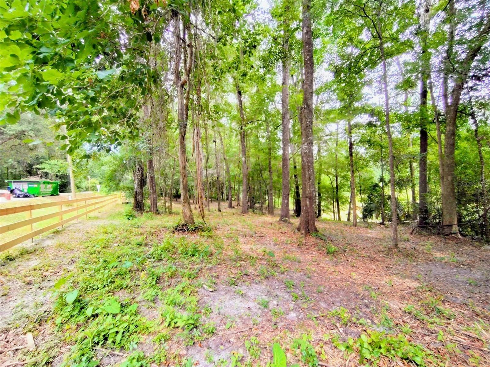 Fitzhugh Ave Property Photo 12