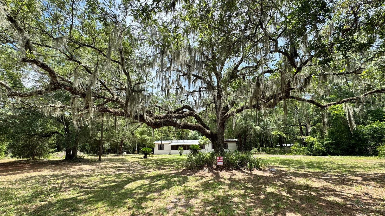 11286 E Highway 25 Property Photo 4
