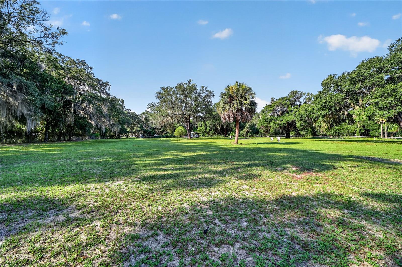 10844 Se Highway 42 Property Photo 26