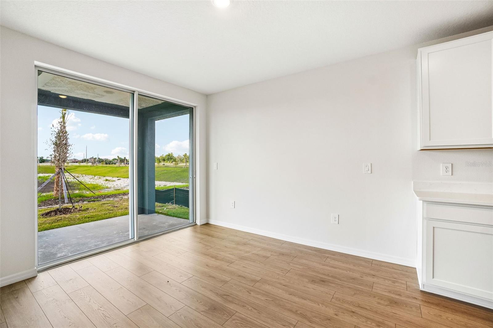 13684 Umber Forest St Property Photo 11
