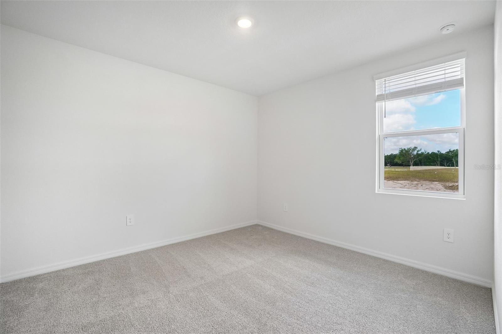 13684 Umber Forest St Property Photo 21