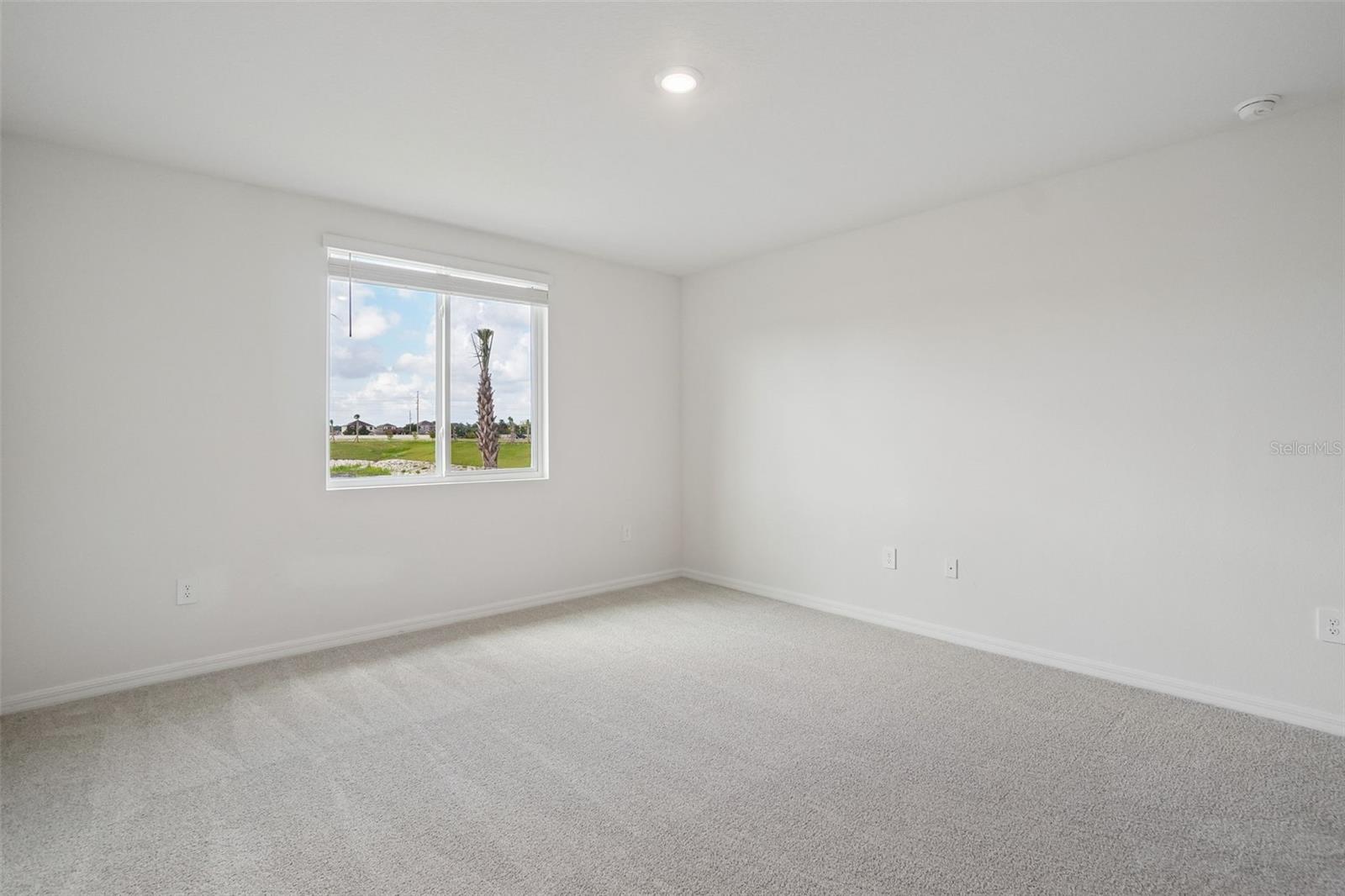 13684 Umber Forest St Property Photo 37