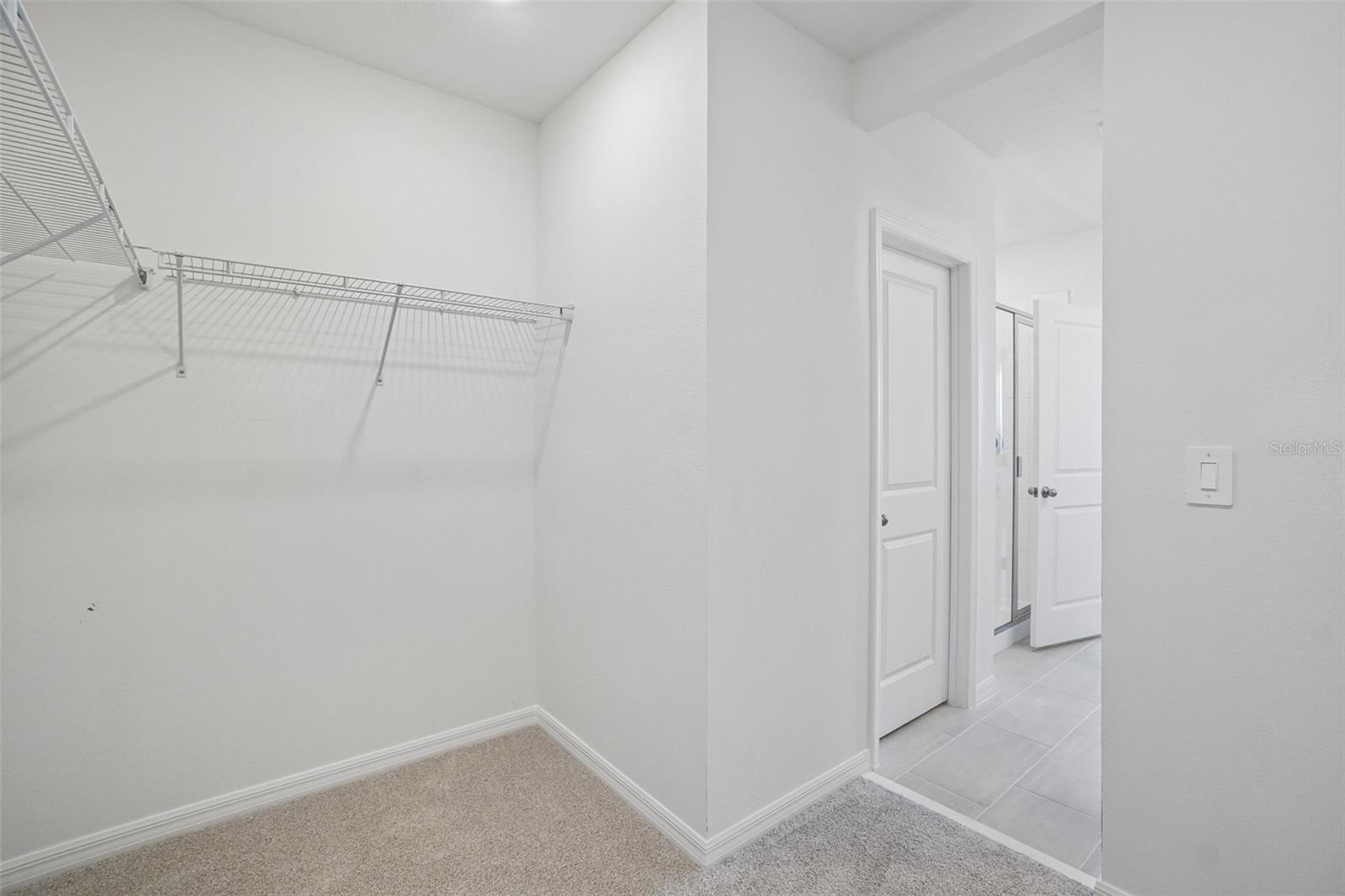 13684 Umber Forest St Property Photo 42