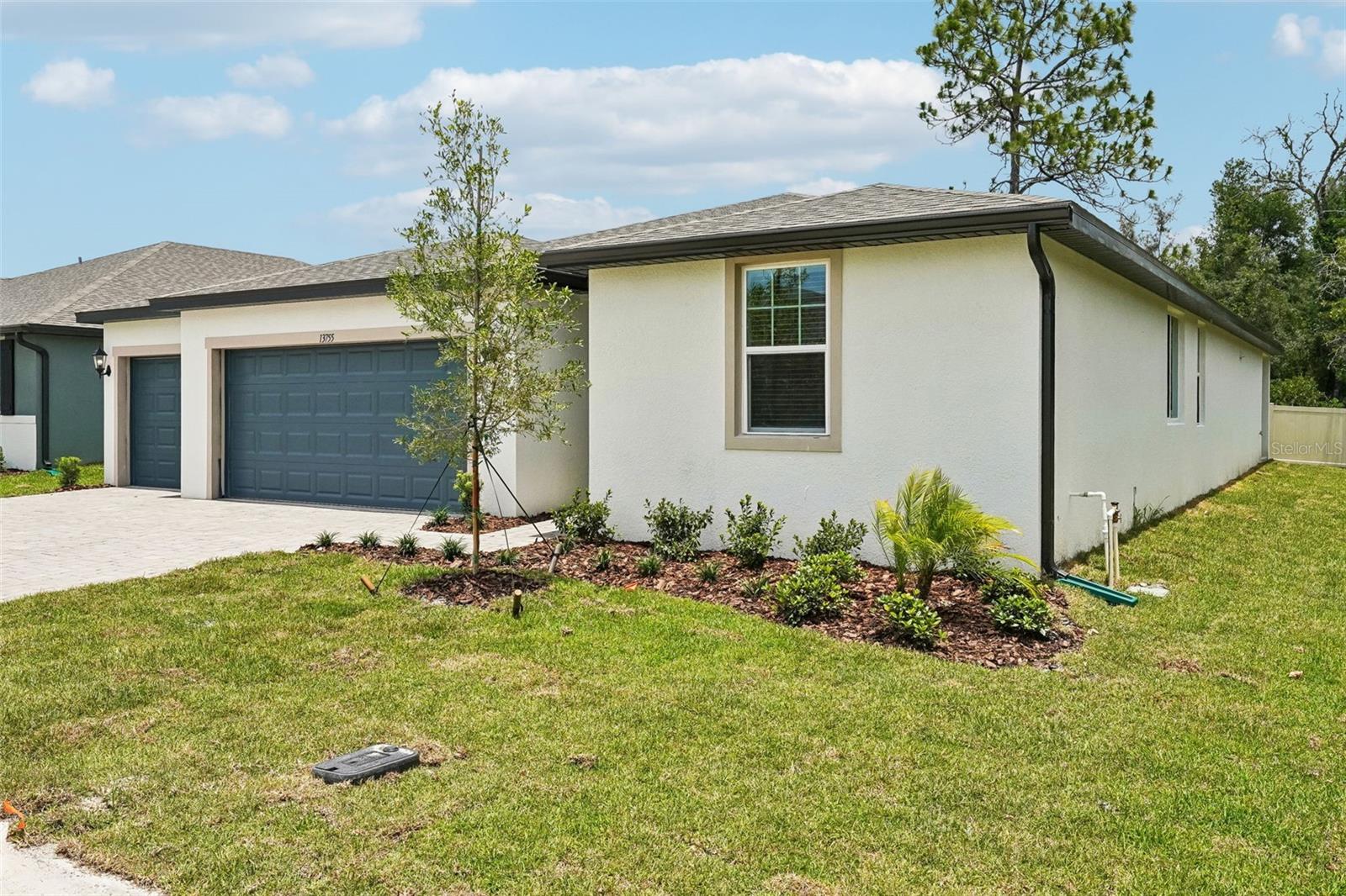 13755 Umber Forest St Property Photo 3