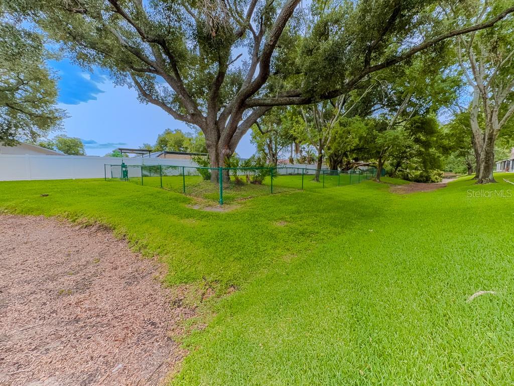 8505 Sandy Beach St Property Photo 51