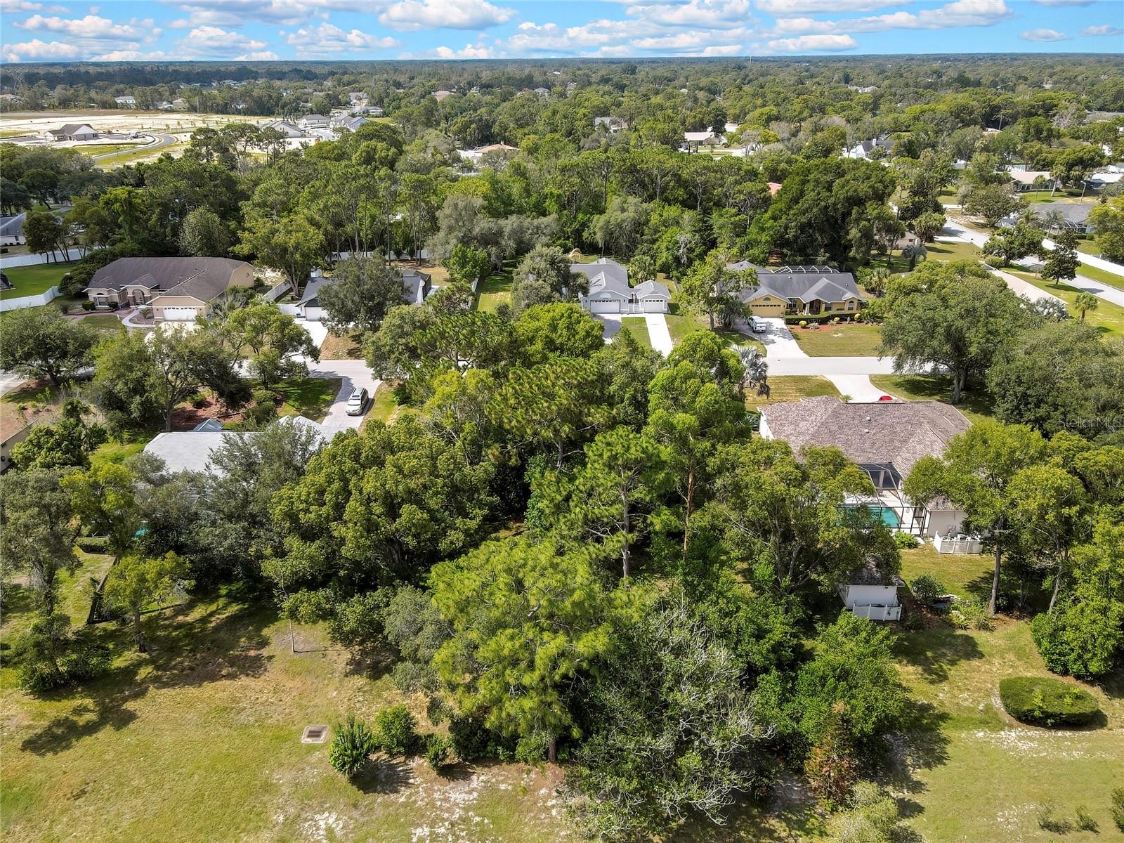 Orangewood Ct Property Photo 9