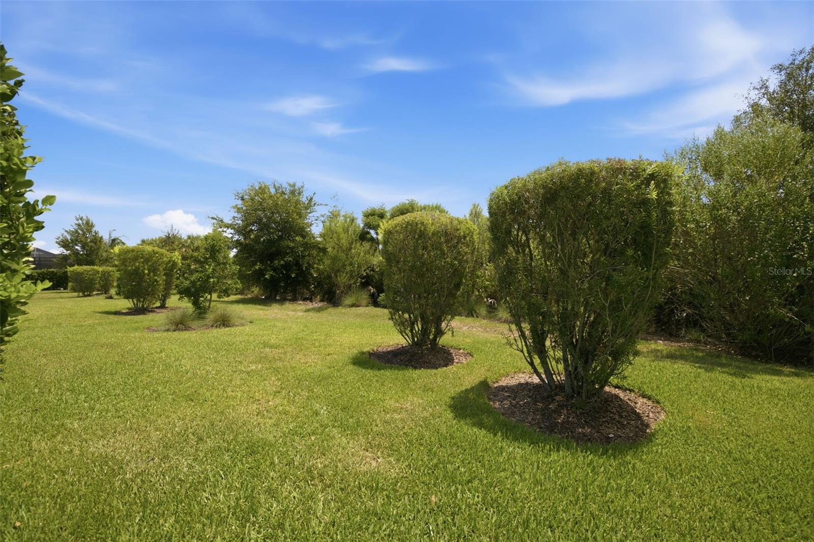 3254 Francoa Dr Property Photo 38