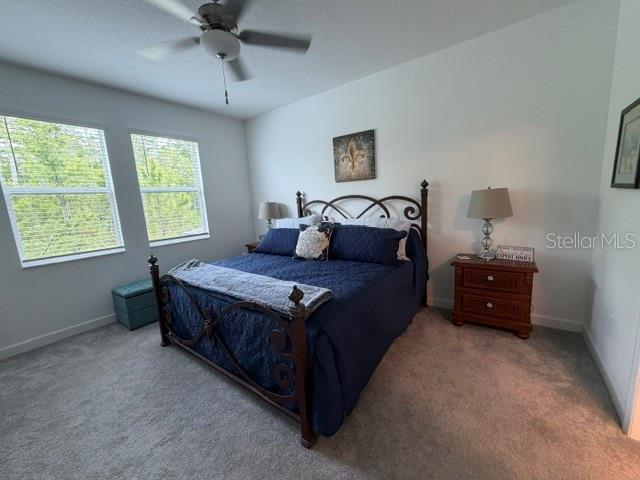 9760 Minnow Ray Dr Property Photo 13