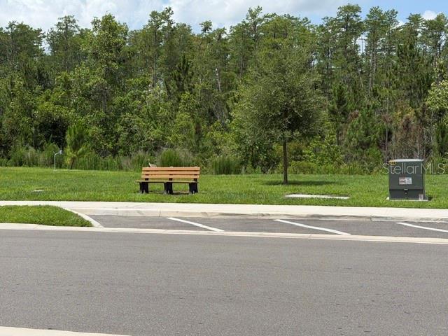 9760 Minnow Ray Dr Property Photo 31