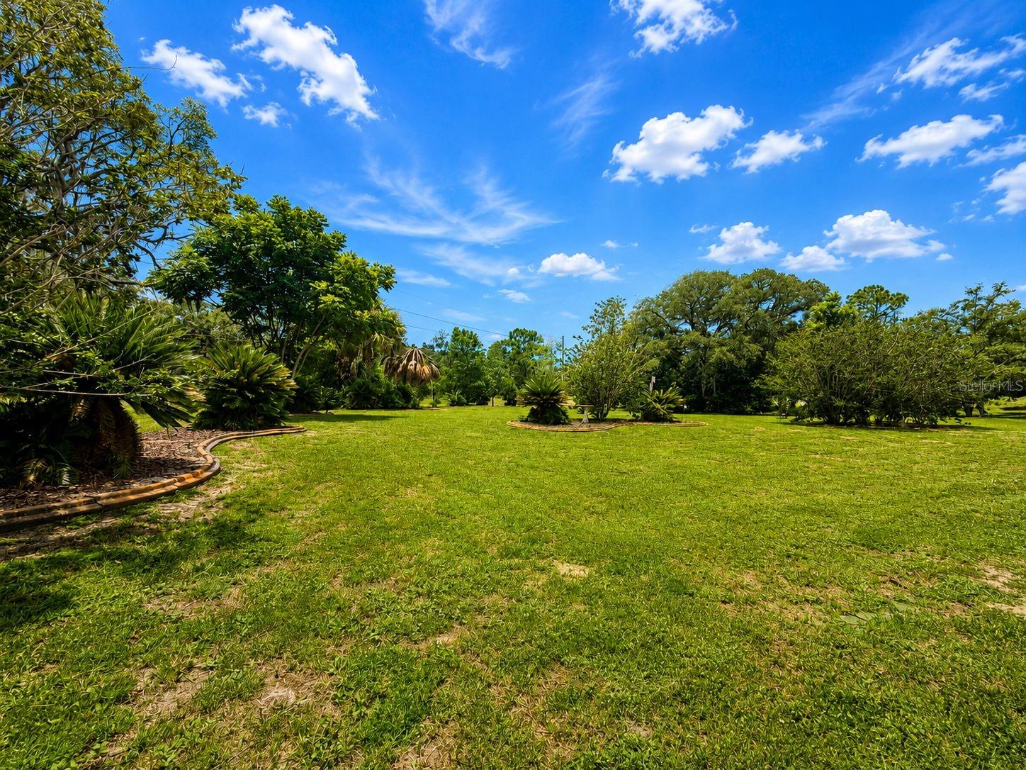 48 N Crystal Meadow Path Property Photo 7