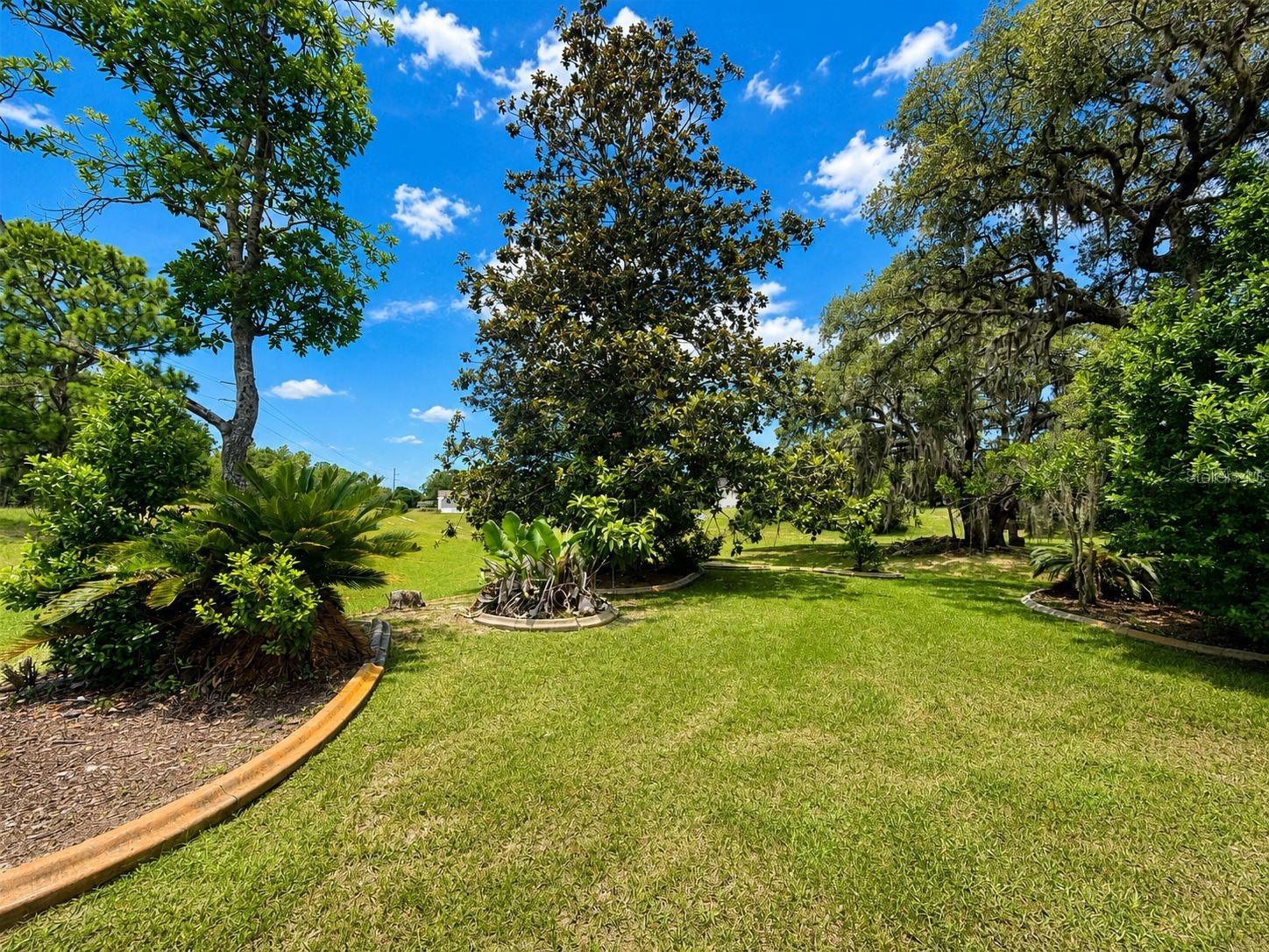 48 N Crystal Meadow Path Property Photo 8
