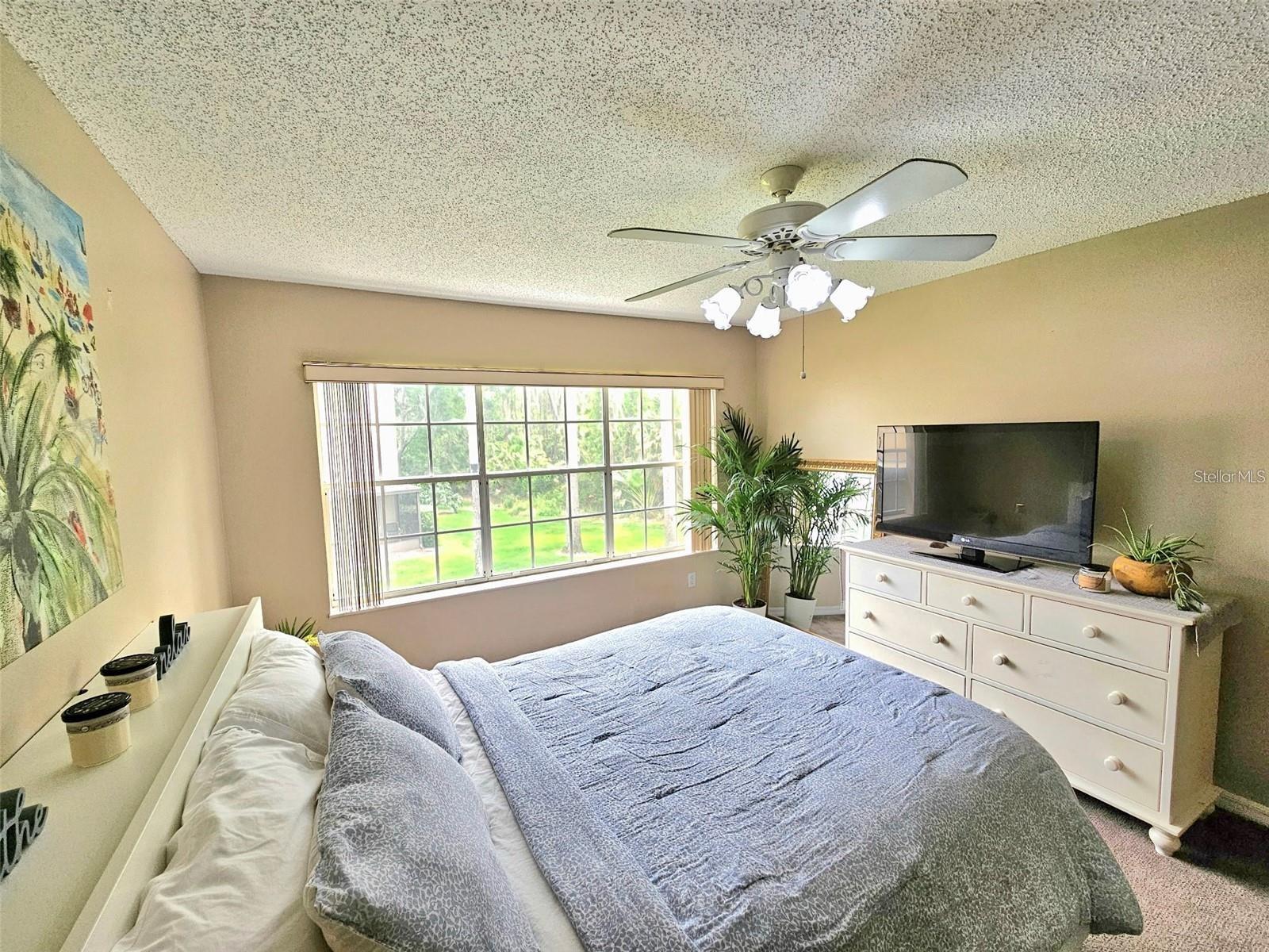 3612 Pine Knot Dr Property Photo 17