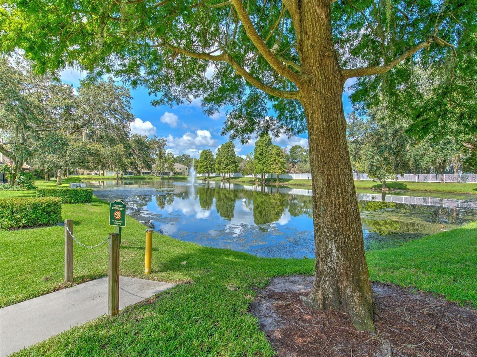 3612 Pine Knot Dr Property Photo 36