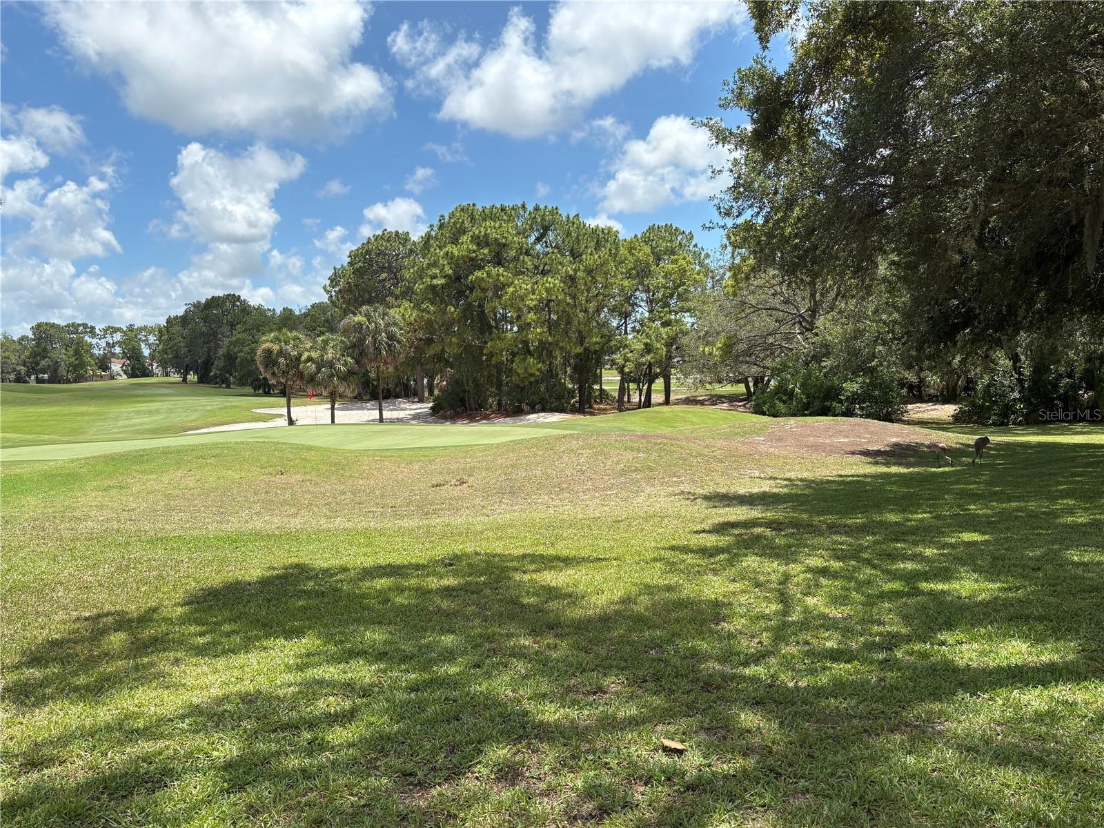 9450 Mississippi Run Property Photo 42