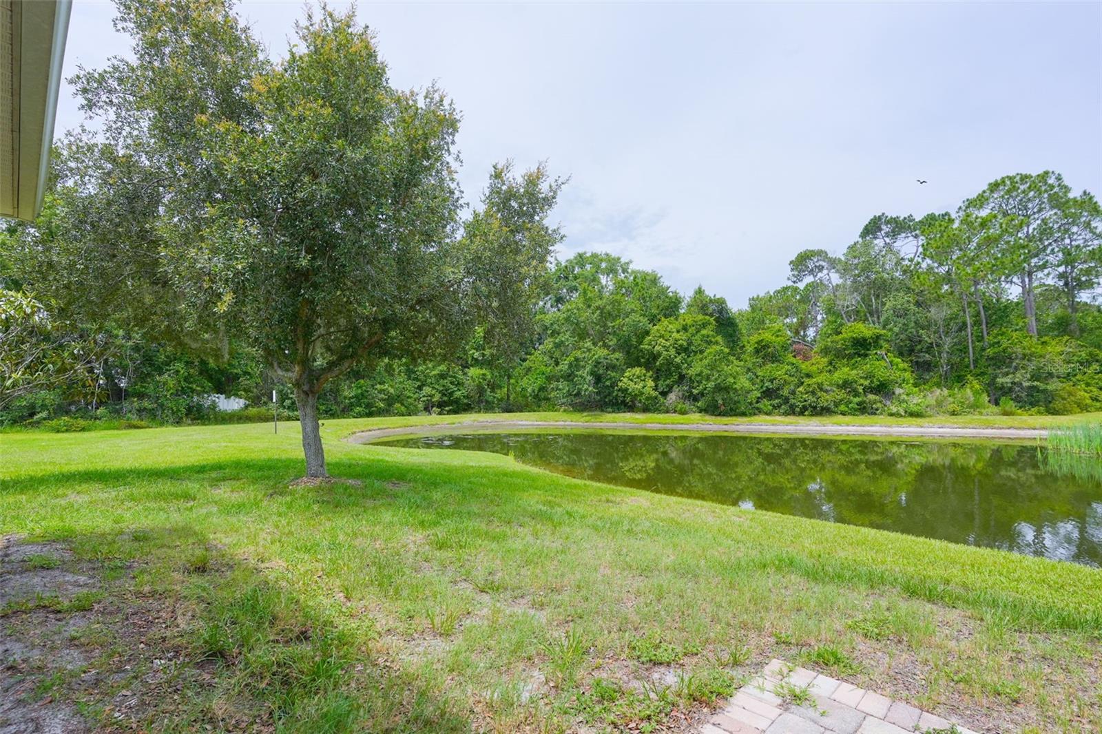 6019 Evansbrook Dr Property Photo 7