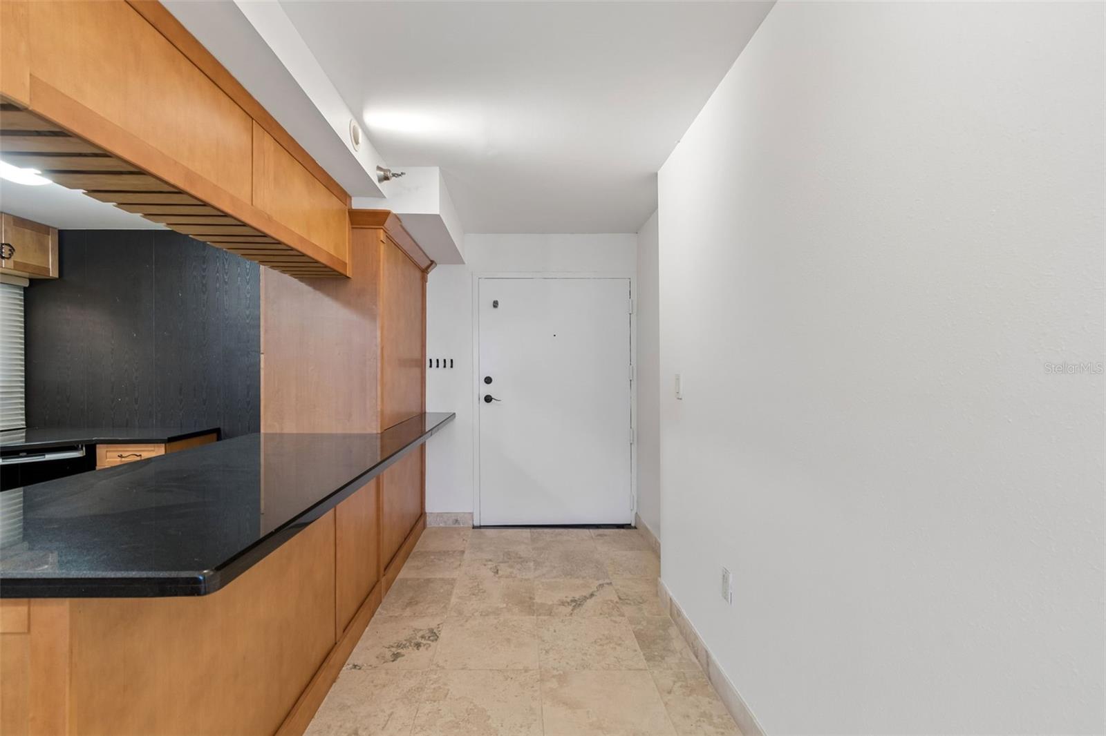 2413 Bayshore Blvd #1904 Property Photo 10