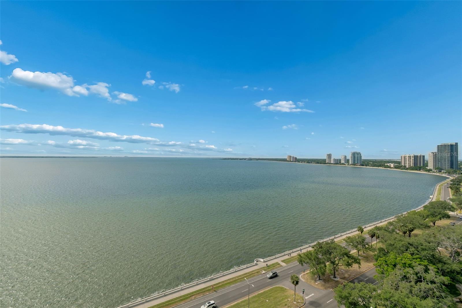 2413 Bayshore Blvd #1904 Property Photo 22