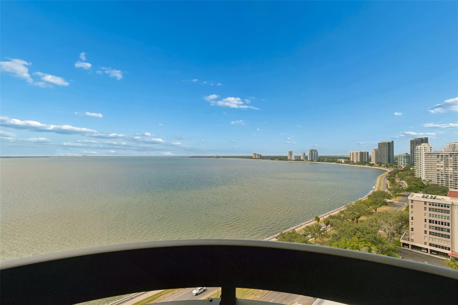 2413 Bayshore Blvd #1904 Property Photo 38