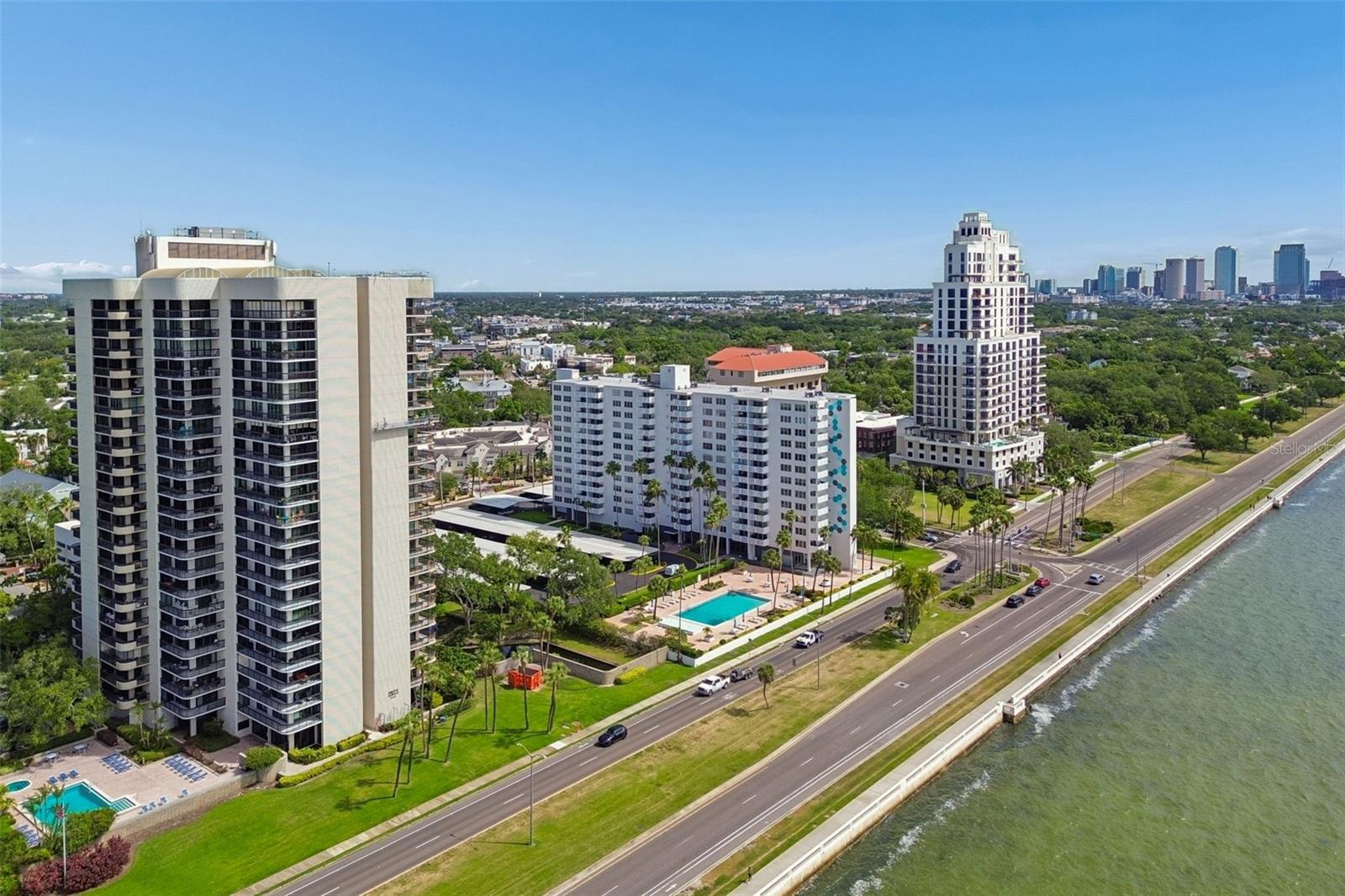2413 Bayshore Blvd #1904 Property Photo 42