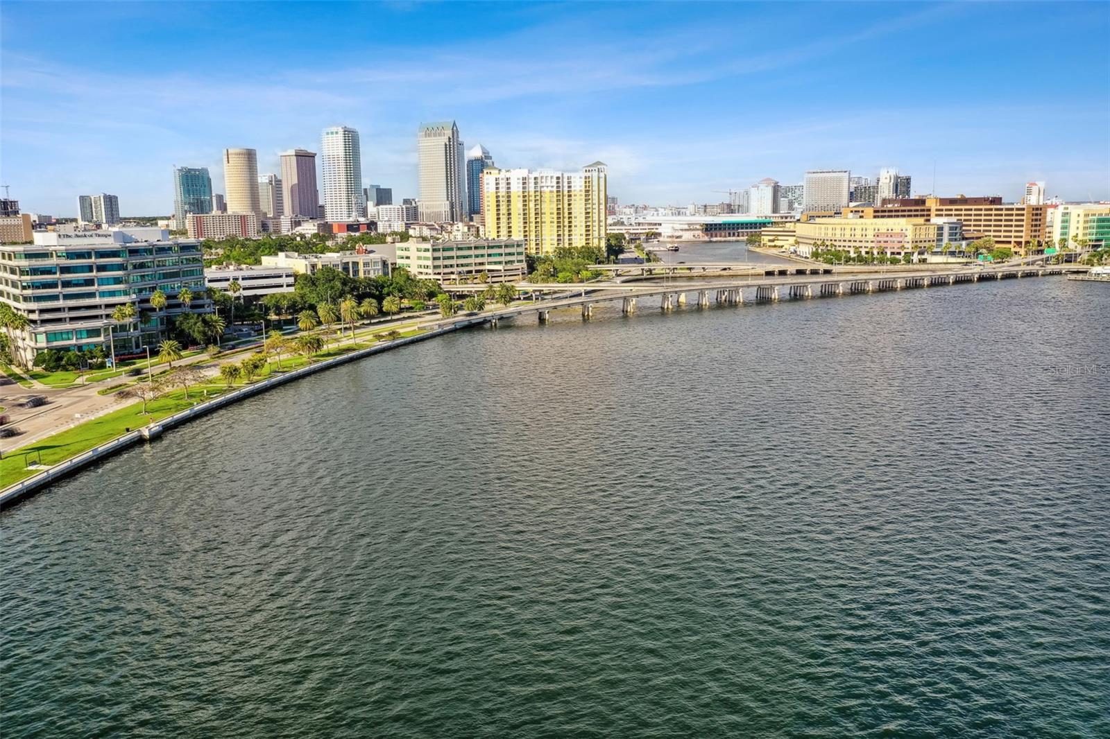 2413 Bayshore Blvd #1904 Property Photo 50