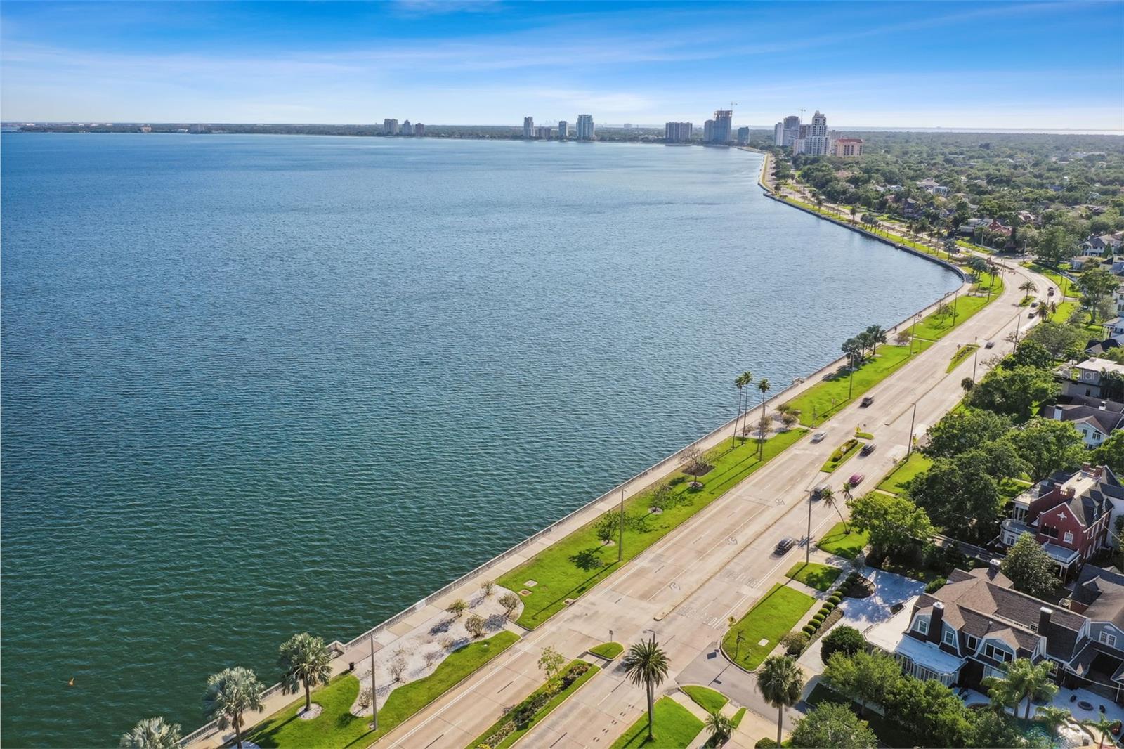2413 Bayshore Blvd #1904 Property Photo 55