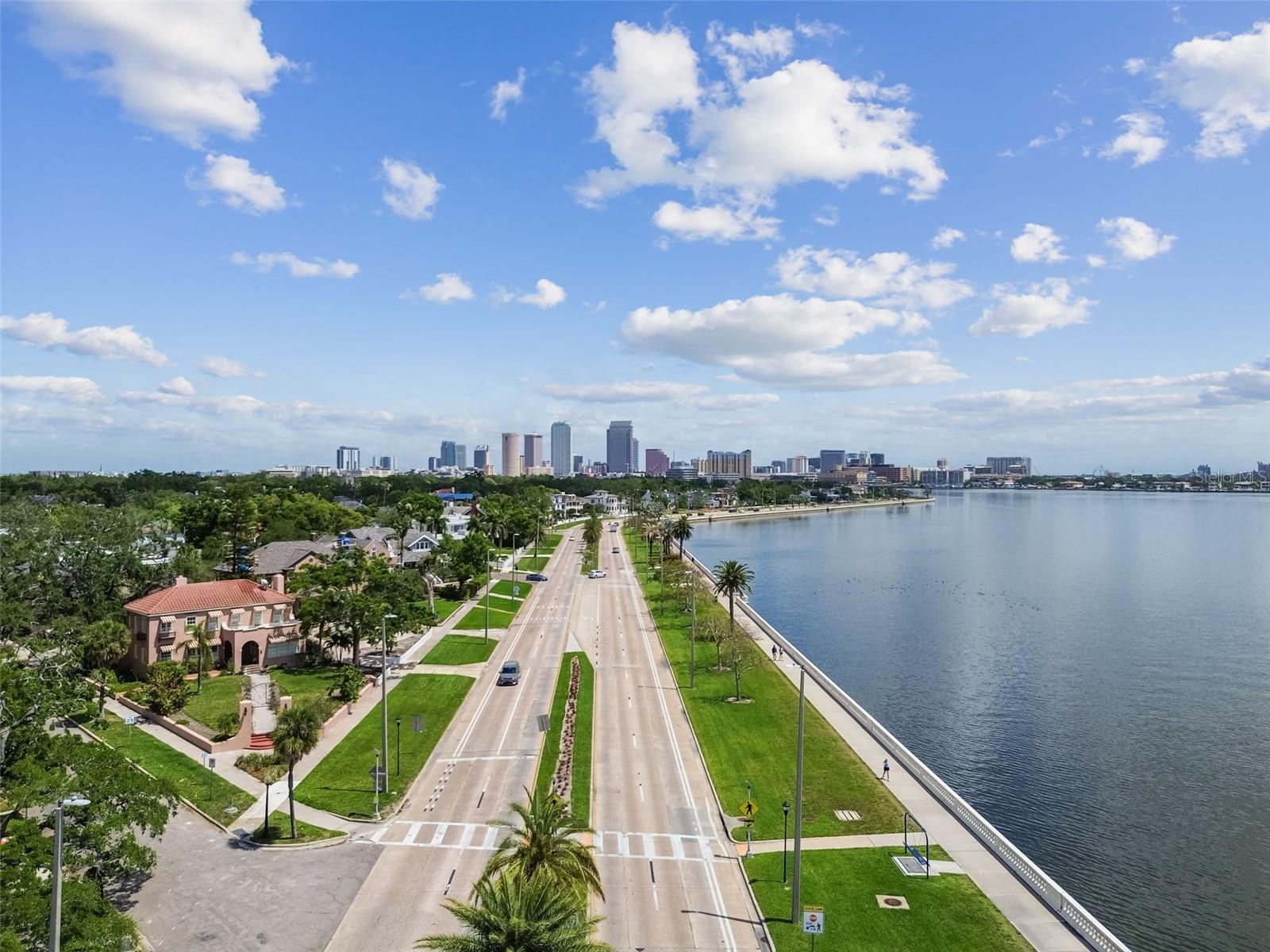 2413 Bayshore Blvd #1904 Property Photo 58