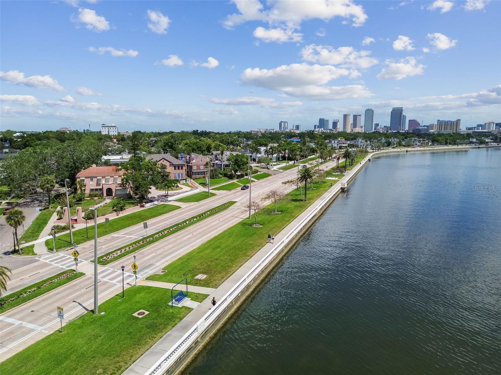 2413 Bayshore Blvd #1904 Property Photo 59
