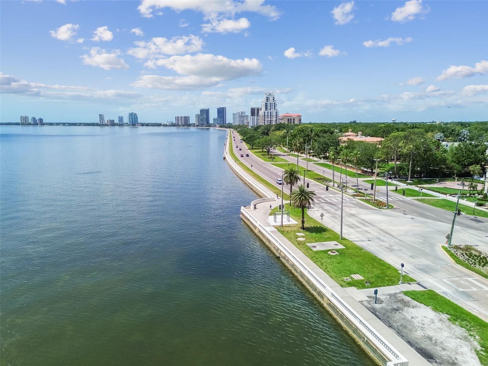 2413 Bayshore Blvd #1904 Property Photo 60