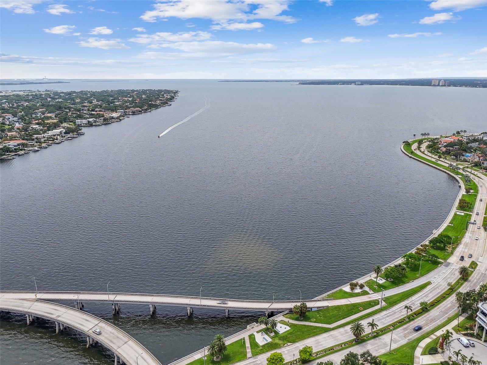 2413 Bayshore Blvd #1904 Property Photo 62