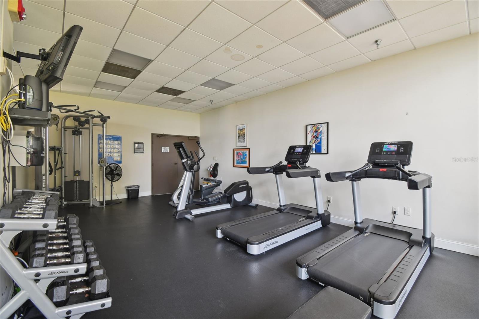 2413 Bayshore Blvd #1904 Property Photo 66