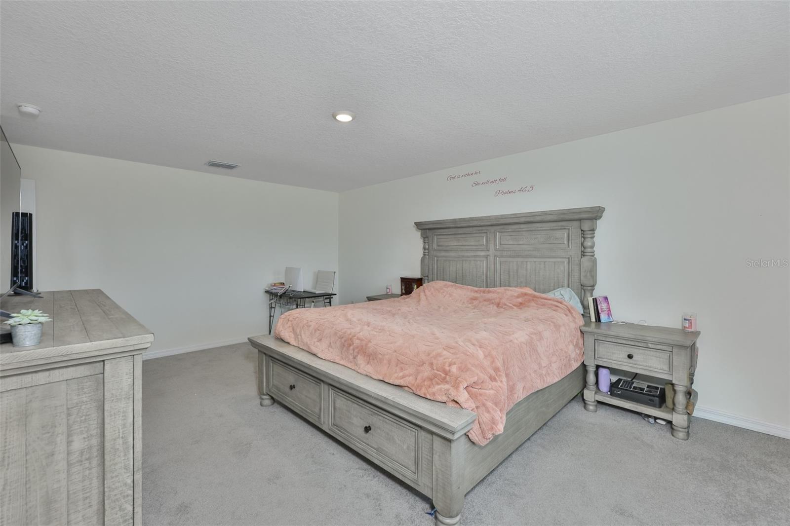 5244 Fiddle Fig Ave Property Photo 20