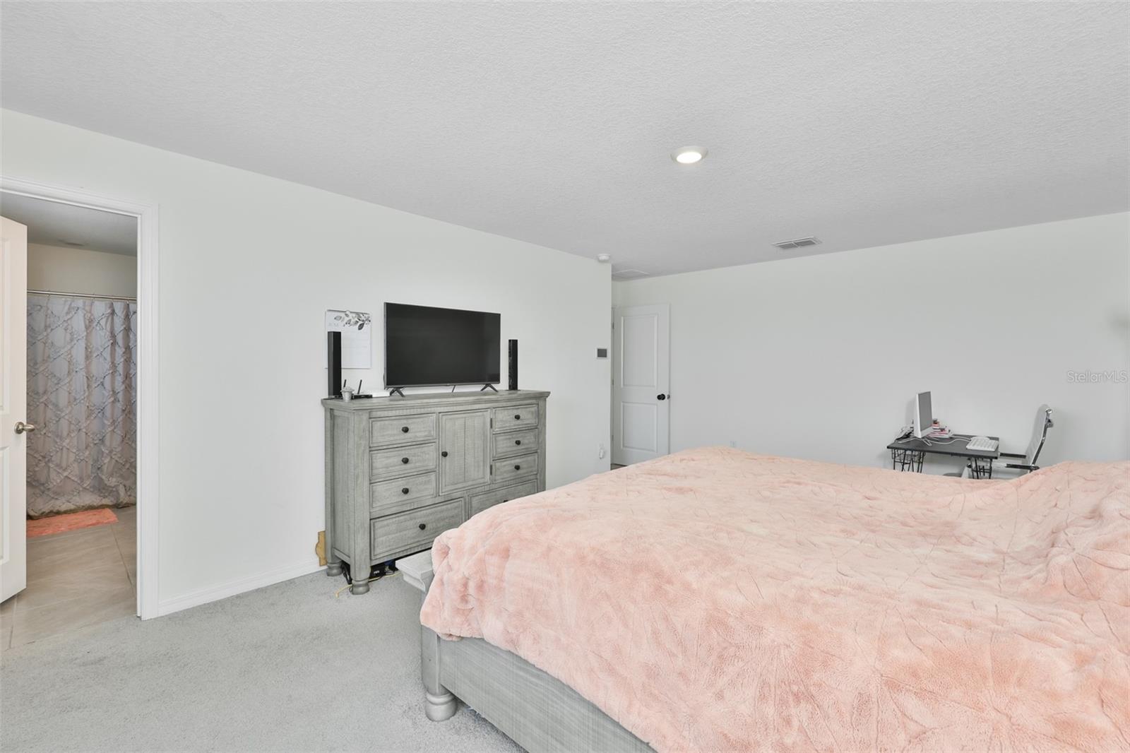 5244 Fiddle Fig Ave Property Photo 21