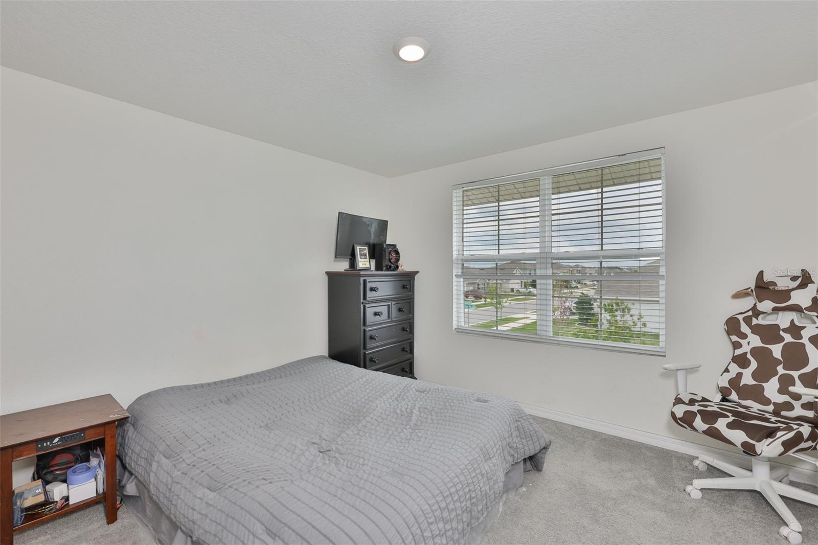 5244 Fiddle Fig Ave Property Photo 30